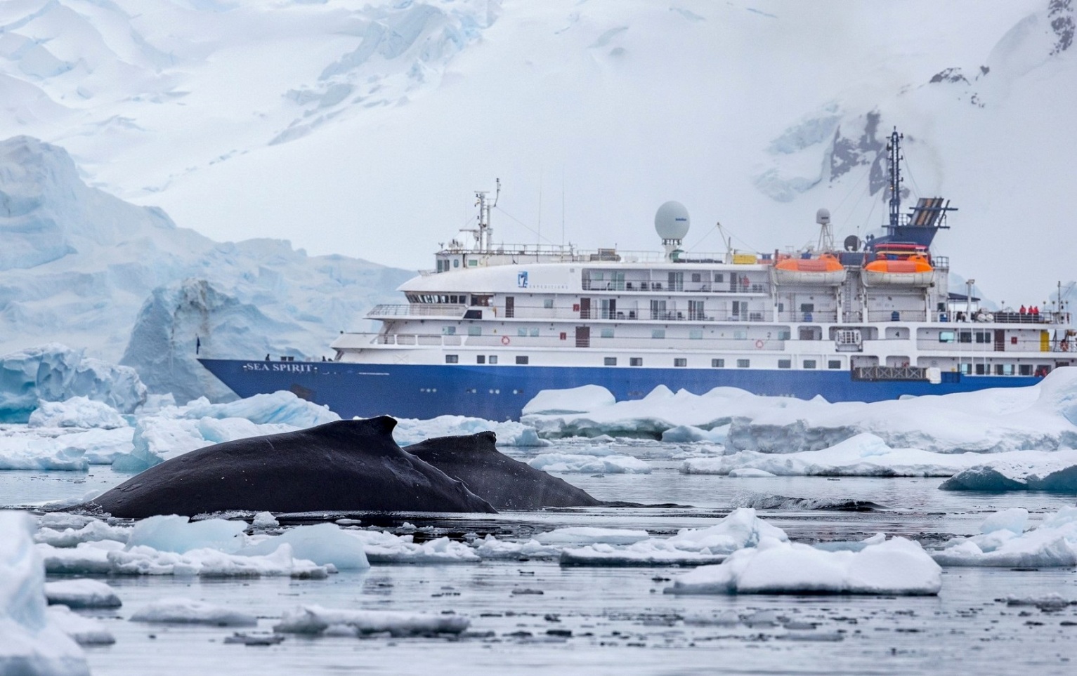 Экспедиционный круиз: путешествие на крайний юг