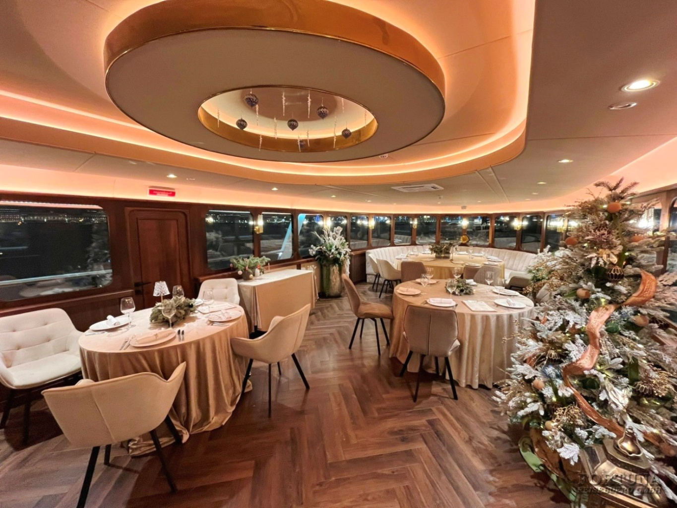 Новогодние экскурсии по Неве на судне "Шустрый Бобёр"