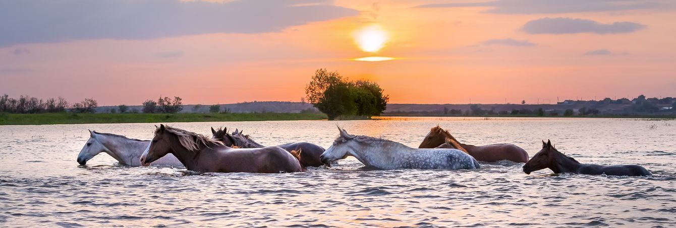 Круиз "Северная Венеция" теплоход "Мустай Карим"