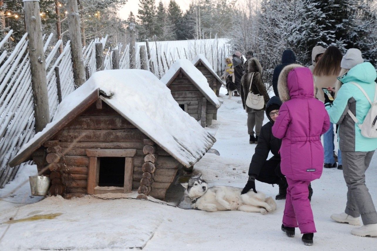 Весёлые январские каникулы в Карелии, 4 дня, Зимняя программа