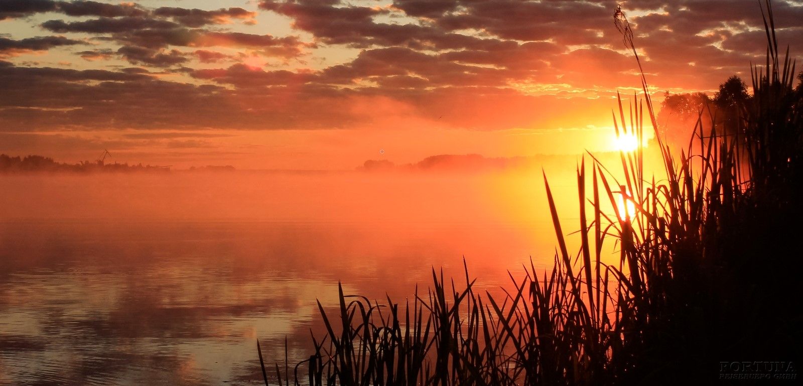 Круиз из Москвы в Казань, теплоход "Игорь Стравинский"