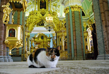 Собор Петра и Павла в Петропавловской крепости