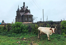 Сибирские Круизы по Енисею из Красноярска. ТХ М. Горький 5*