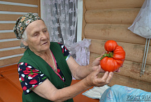 Байкальская классика - 7 дней