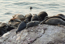 Круиз по Байкалу. Сибирь, лето