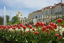 Тур Романтический Петербург. Петергоф