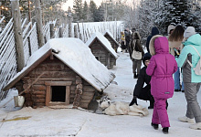 Вотчина Карельского Деда мороза ТалвиУкко. Питомник хаски