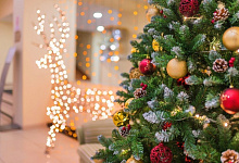 Спа Отель Карелия 4* гостиница в Петрозаводске. Карелия