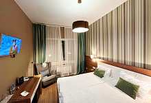 Отель Фрегат 4* гостиница в Петрозаводске. Карелия. DBL Standard